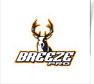 Business Logo design Brainerd Mn