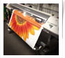printing signs and graphics brainerd mn 